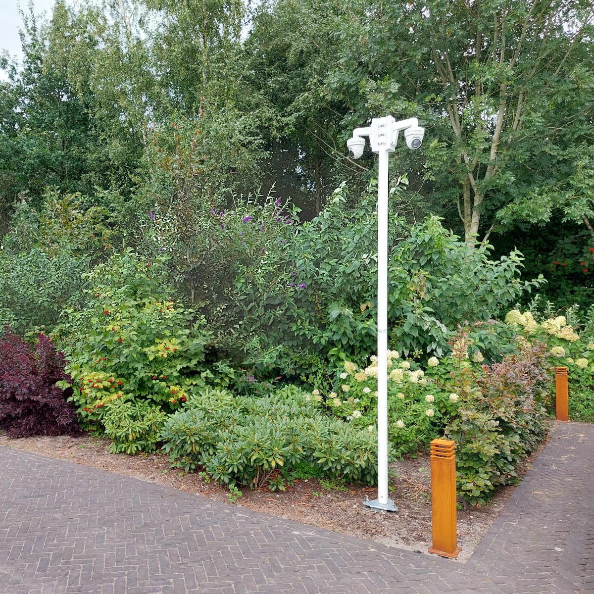 autowastraat